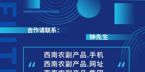 什么是开发区自助应用平台，它如何助力区域创新发展？