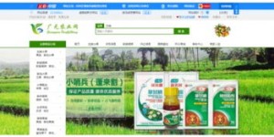 扶绥牛蛙自助团购哪里最划算？优质网站推荐！