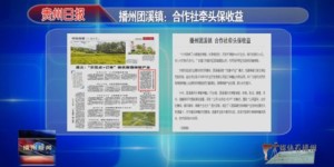 播州区自助团购哪家强？热门平台一网打尽！